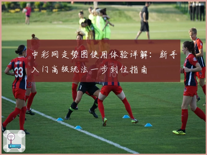 中彩网走势图使用体验详解:新手入门高级玩法一步到位指南