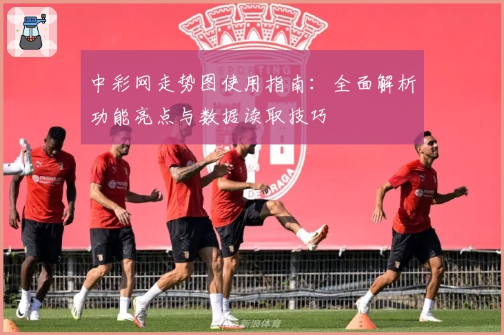 中彩网走势图使用指南：全面解析功能亮点与数据读取技巧