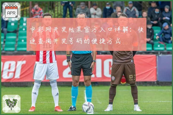 中彩网开奖结果官方入口详解：快速查询开奖号码的便捷方式