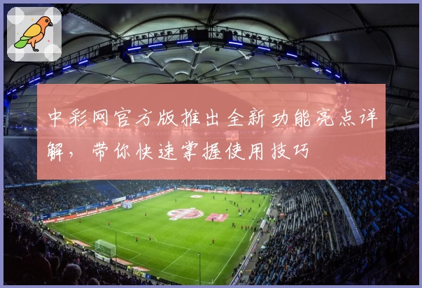 中彩网官方版推出全新功能亮点详解，带你快速掌握使用技巧