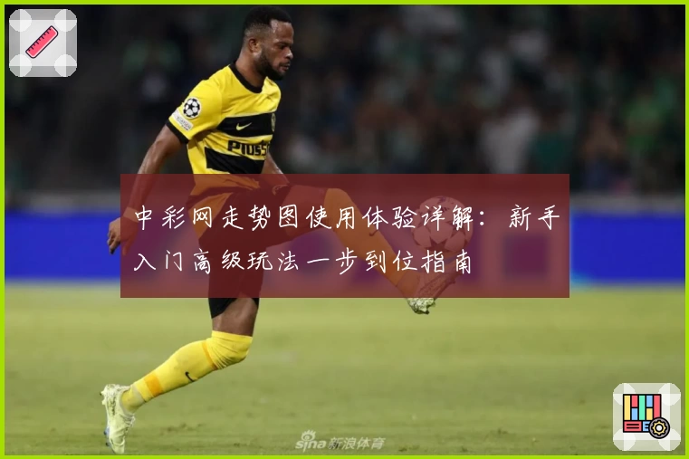 中彩网走势图使用体验详解：新手入门高级玩法一步到位指南