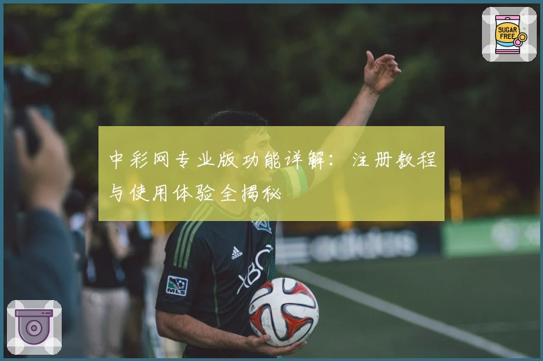 中彩网专业版功能详解：注册教程与使用体验全揭秘
