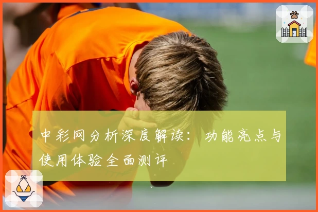 中彩网分析深度解读:功能亮点与使用体验全面测评