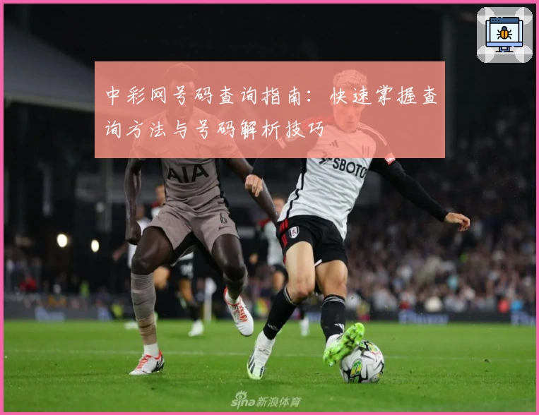 中彩网号码查询指南：快速掌握查询方法与号码解析技巧