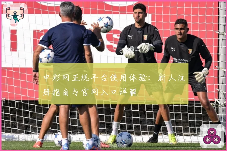 中彩网正规平台使用体验：新人注册指南与官网入口详解
