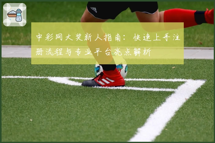 中彩网大奖新人指南：快速上手注册流程与专业平台亮点解析