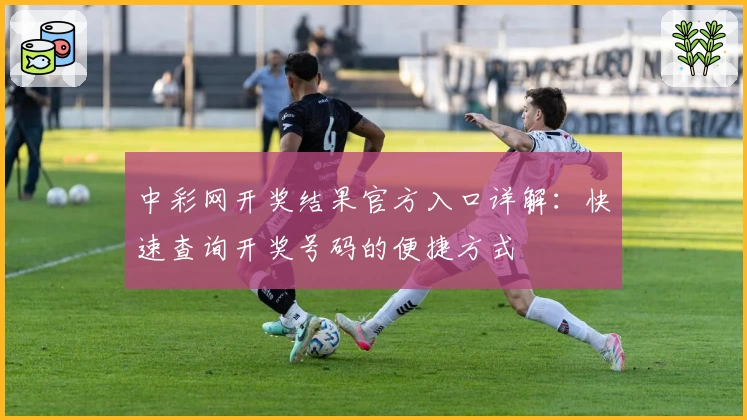 中彩网开奖结果官方入口详解：快速查询开奖号码的便捷方式