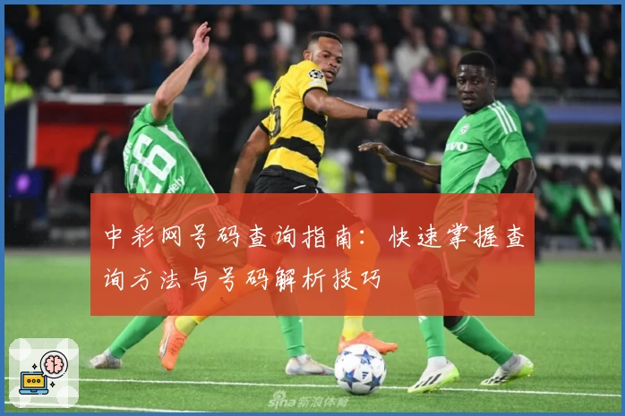 中彩网号码查询指南：快速掌握查询方法与号码解析技巧